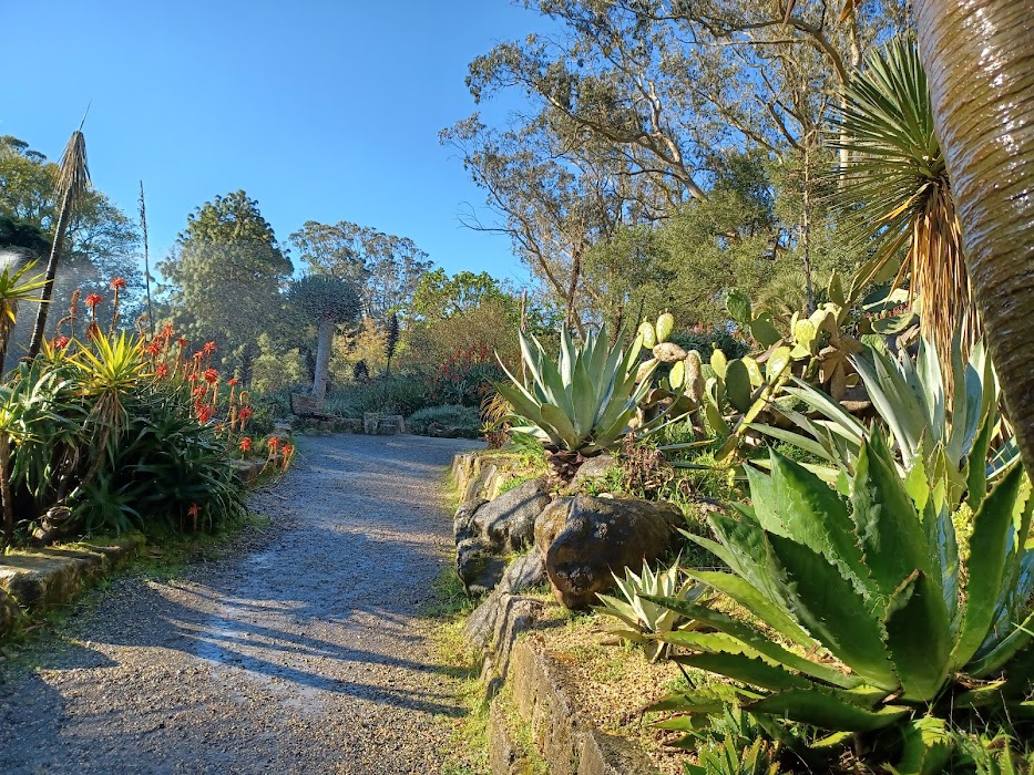 San Francisco Botanical Garden küçük fotoğraf 4