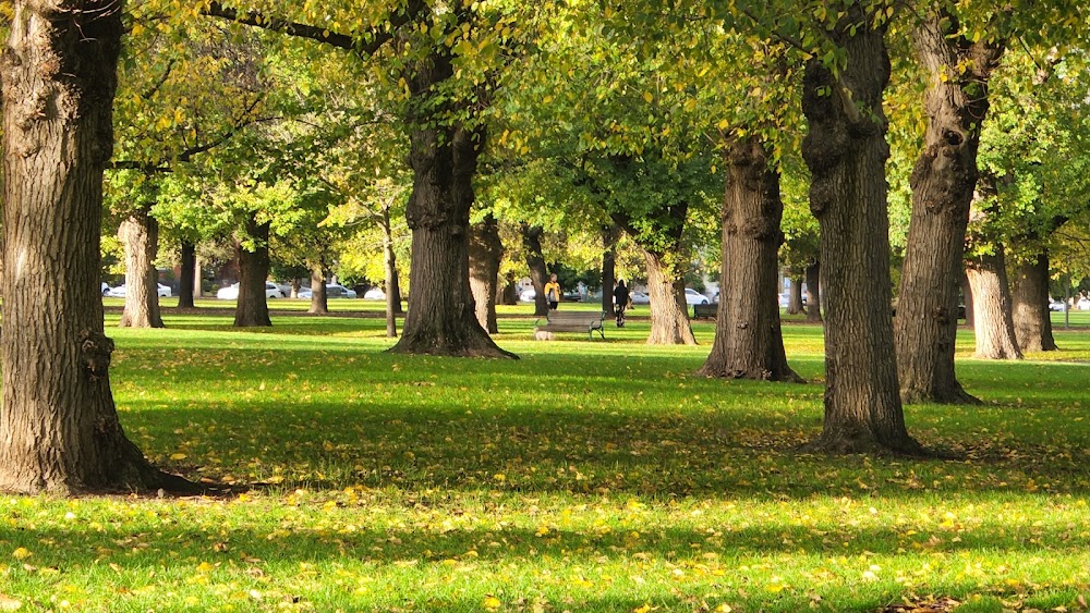 Edinburgh Gardens küçük fotoğraf 3