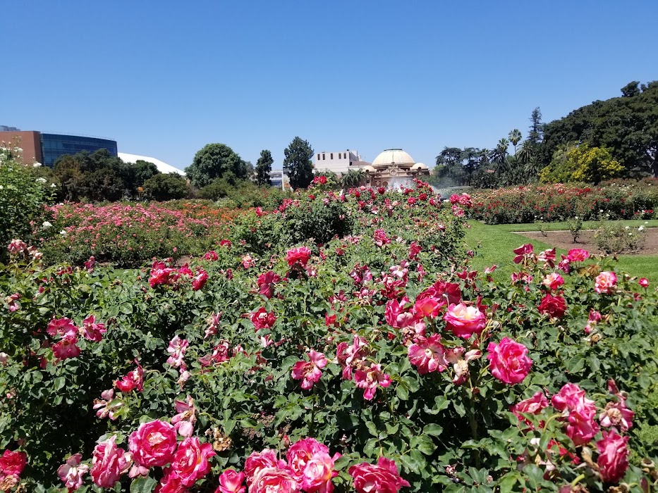 Exposition Park Rose Garden küçük fotoğraf 2