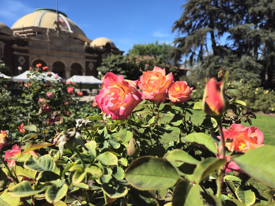 Exposition Park Rose Garden küçük fotoğraf 3