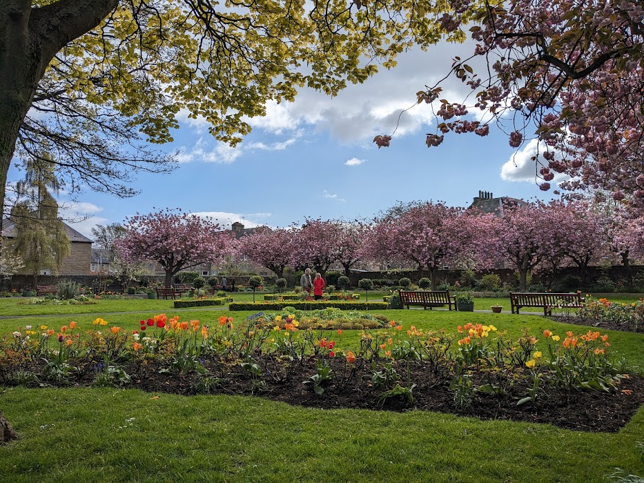 Starbank Park küçük fotoğraf 3