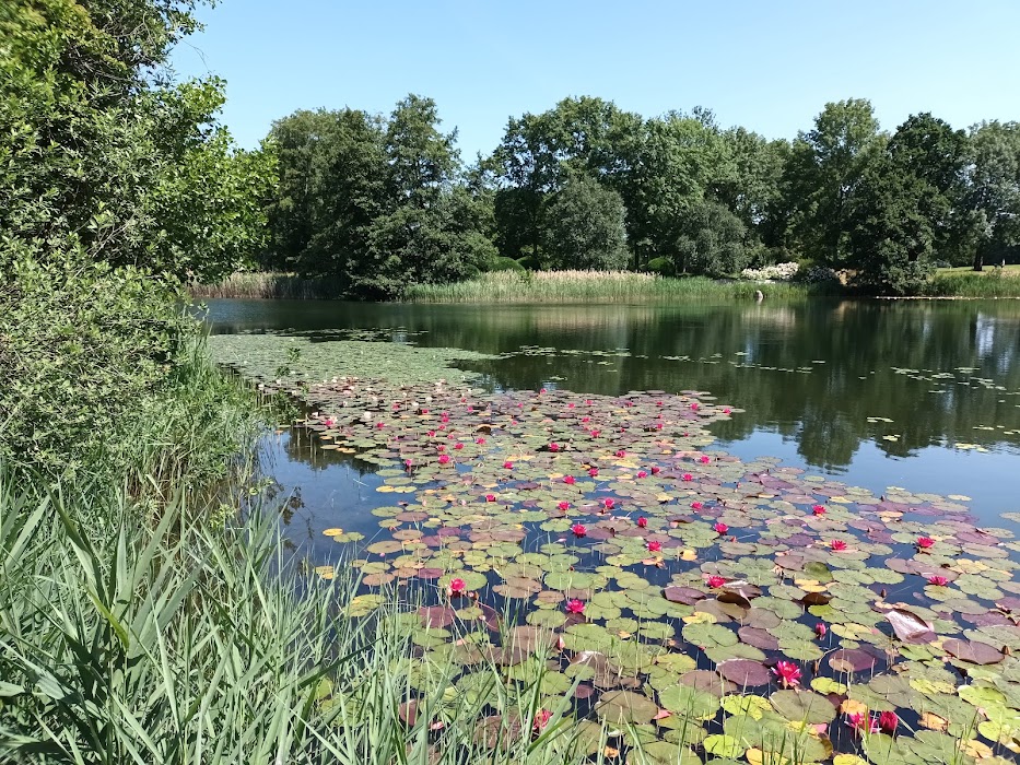 Britzer Garten küçük fotoğraf 4