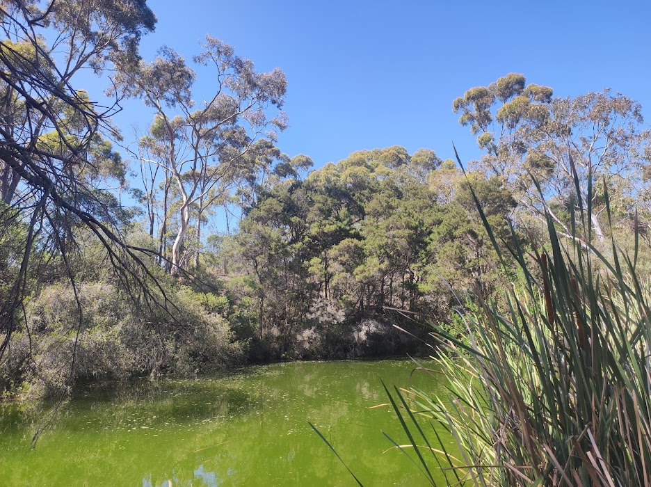 Newport Lakes Reserve küçük fotoğraf 4