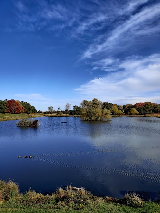 Richmond Park küçük fotoğraf 4