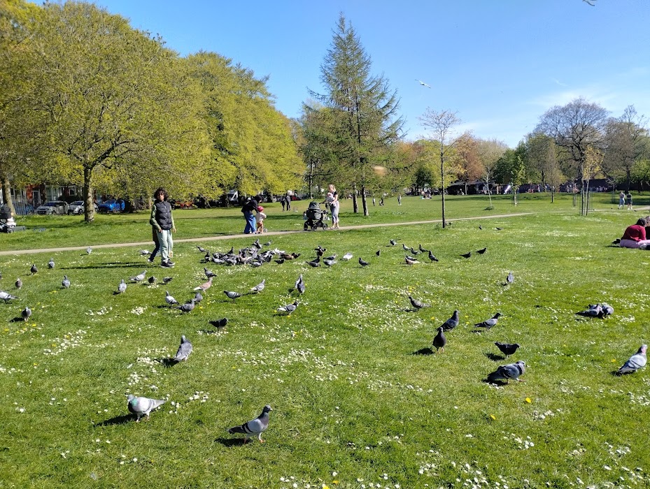 Greenbank Park küçük fotoğraf 3