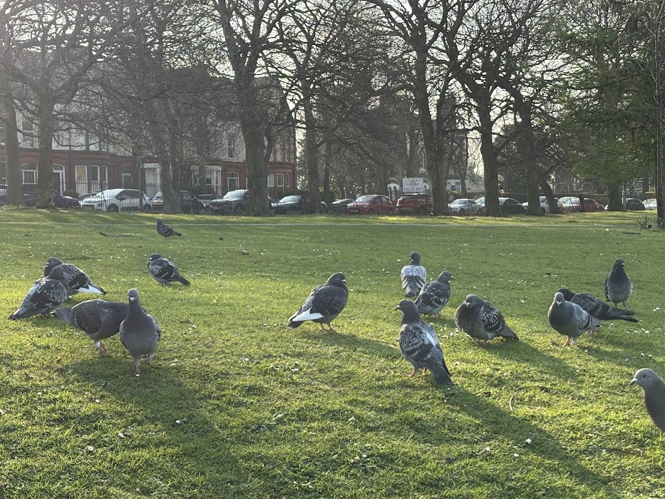 Greenbank Park küçük fotoğraf 4