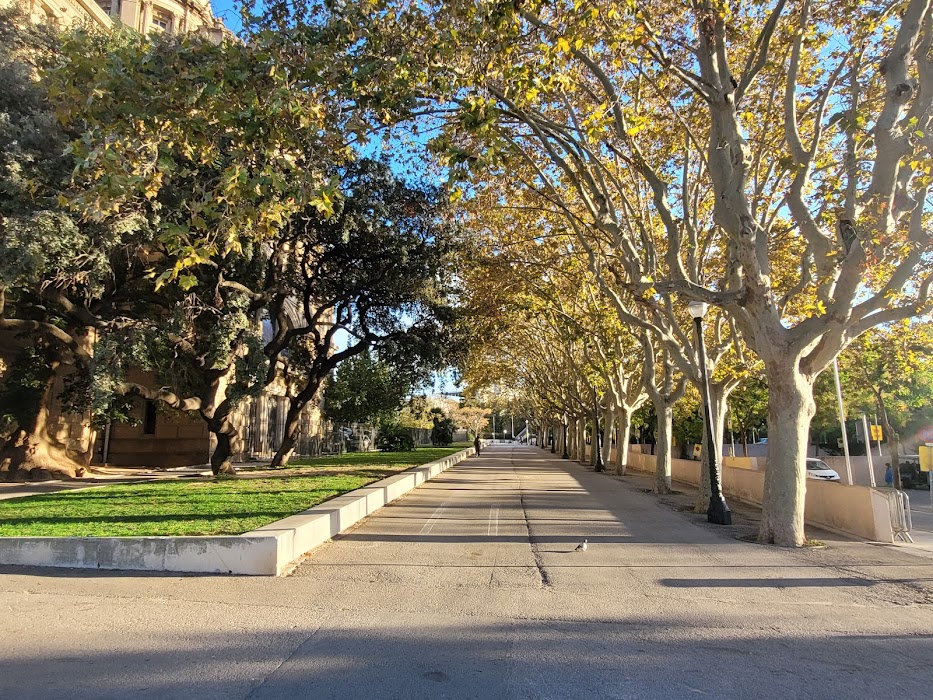 Parque küçük fotoğraf 4