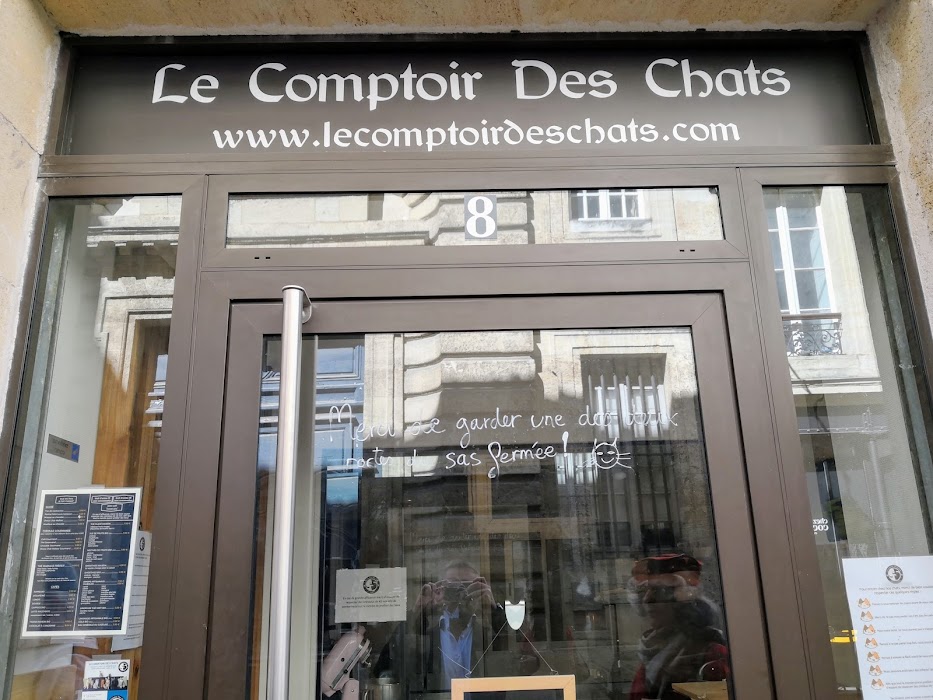 Le Comptoir Des Chats (enfants à partir de 10 ans) küçük fotoğraf 2