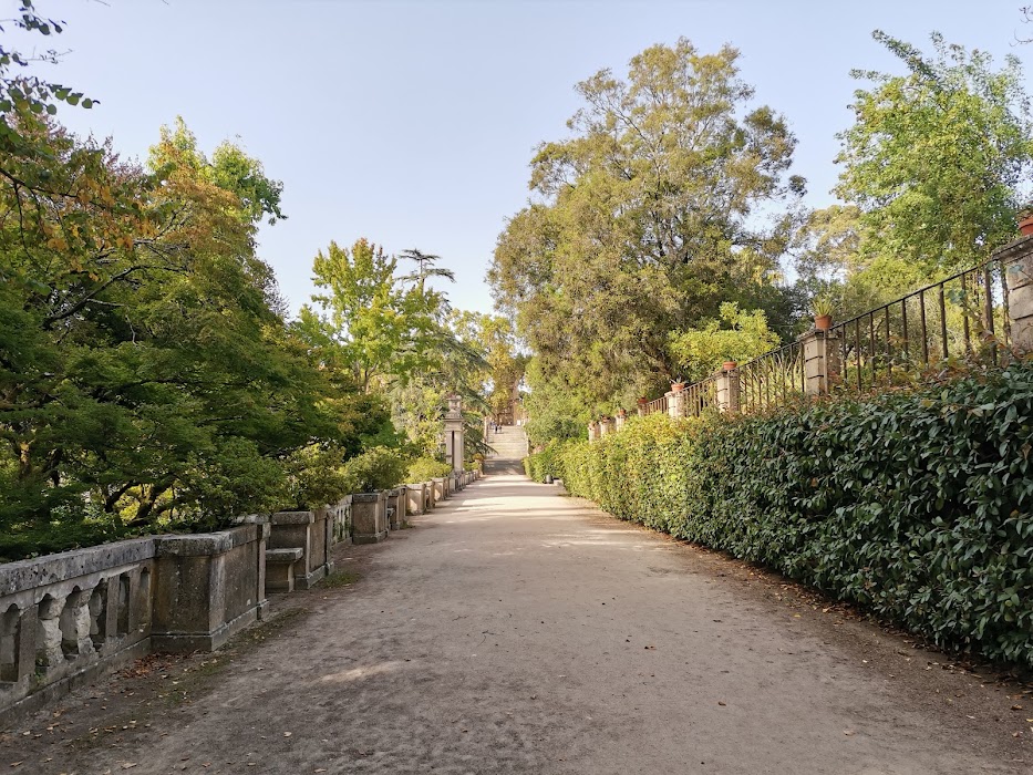 Mata do Jardim Botânico da Universidade de Coimbra küçük fotoğraf 3