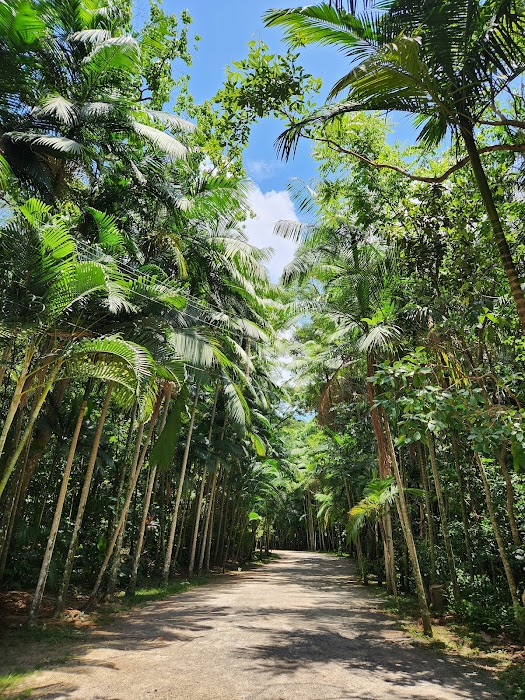 Parque Municipal do Córrego Grande küçük fotoğraf 4