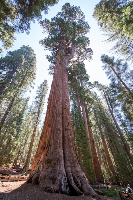 Sequoia National Park küçük fotoğraf 2