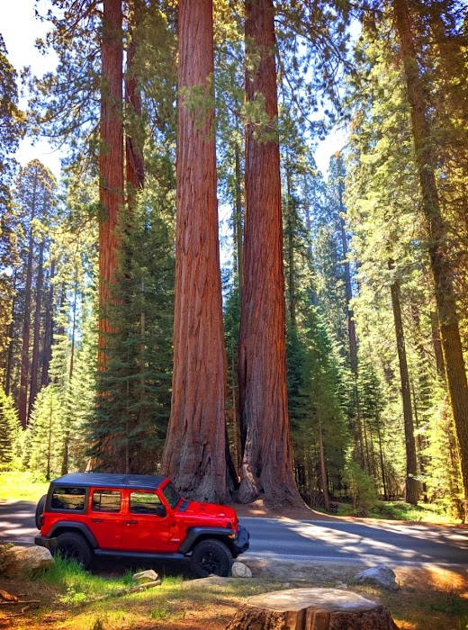 Sequoia National Park küçük fotoğraf 3