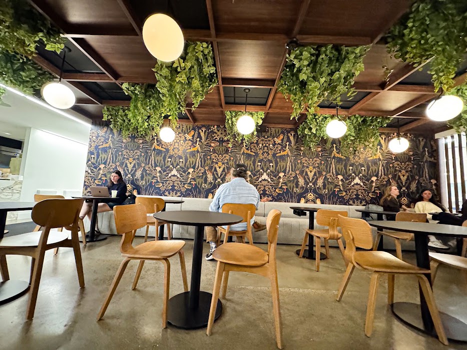 Cafe 295 küçük fotoğraf 4