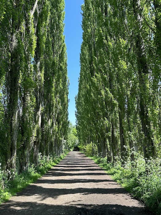 Fletcher Moss Botanical Gardens küçük fotoğraf 3