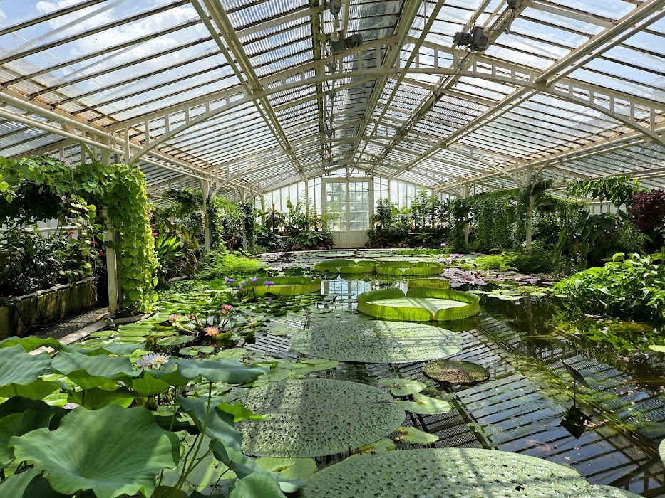 Botanischer Garten München-Nymphenburg küçük fotoğraf 4