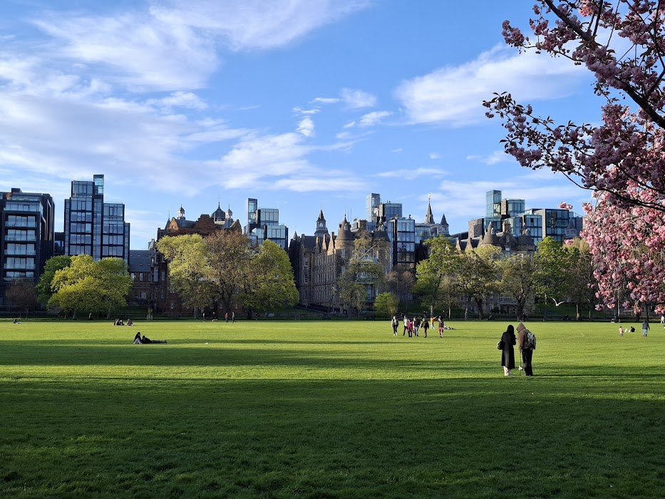 The Meadows küçük fotoğraf 2