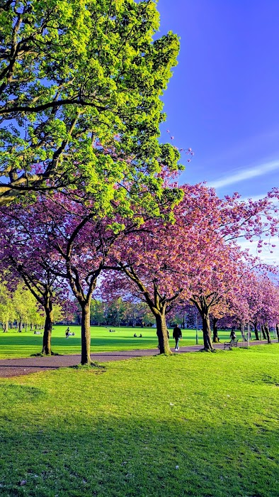 The Meadows küçük fotoğraf 3