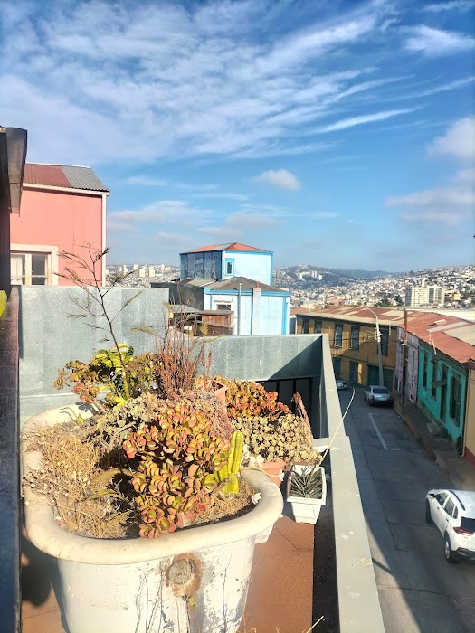 Maleza Valparaíso - Restaurante küçük fotoğraf 4