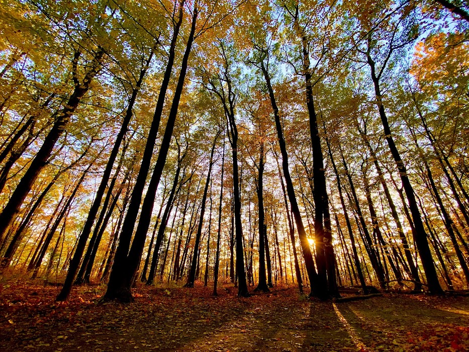 Rouge National Urban Park küçük fotoğraf 4
