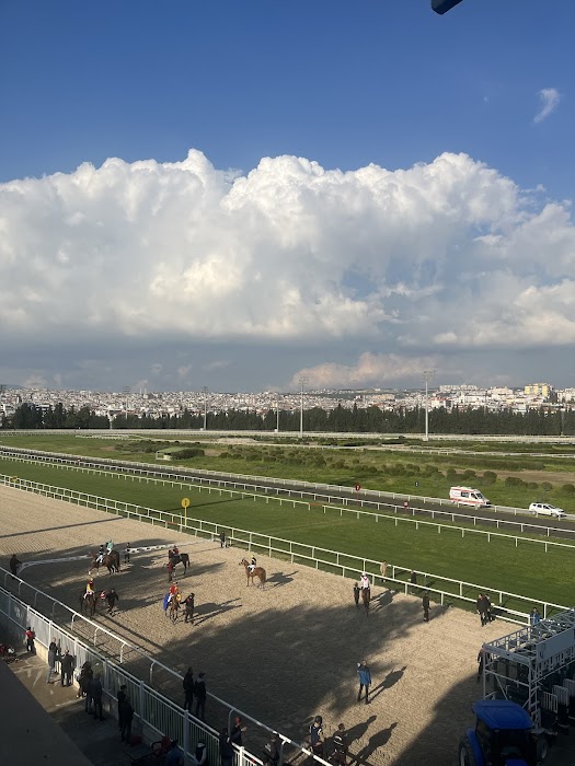 Seyir restorant küçük fotoğraf 4