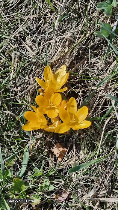 Krowoderski Park küçük fotoğraf 4