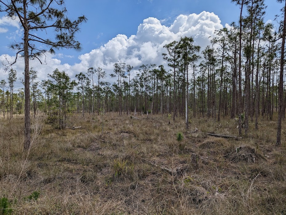 North Collier Regional Park küçük fotoğraf 3