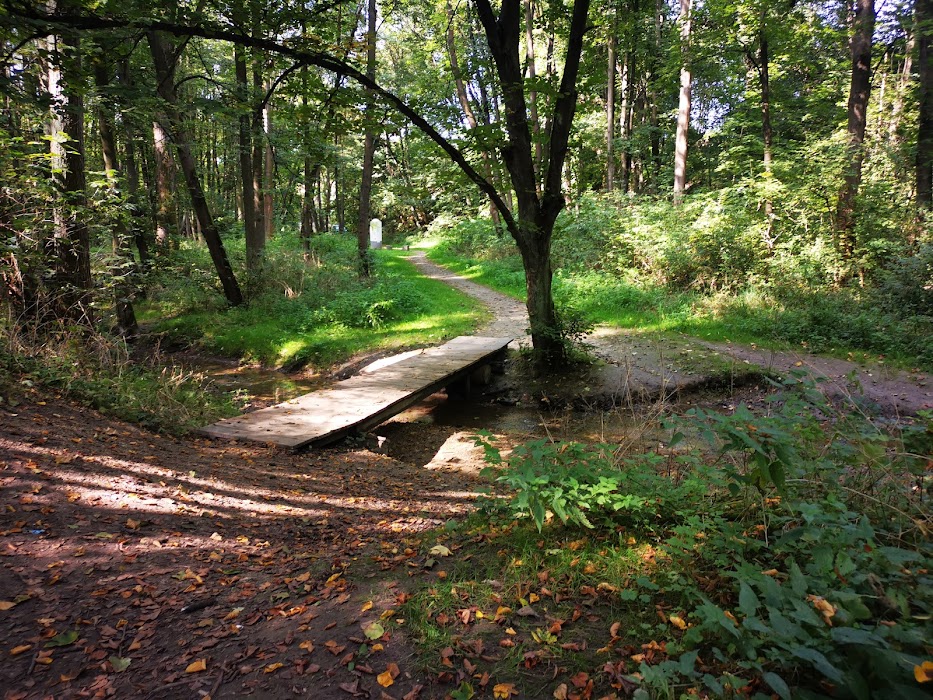 Witkowice Park küçük fotoğraf 2