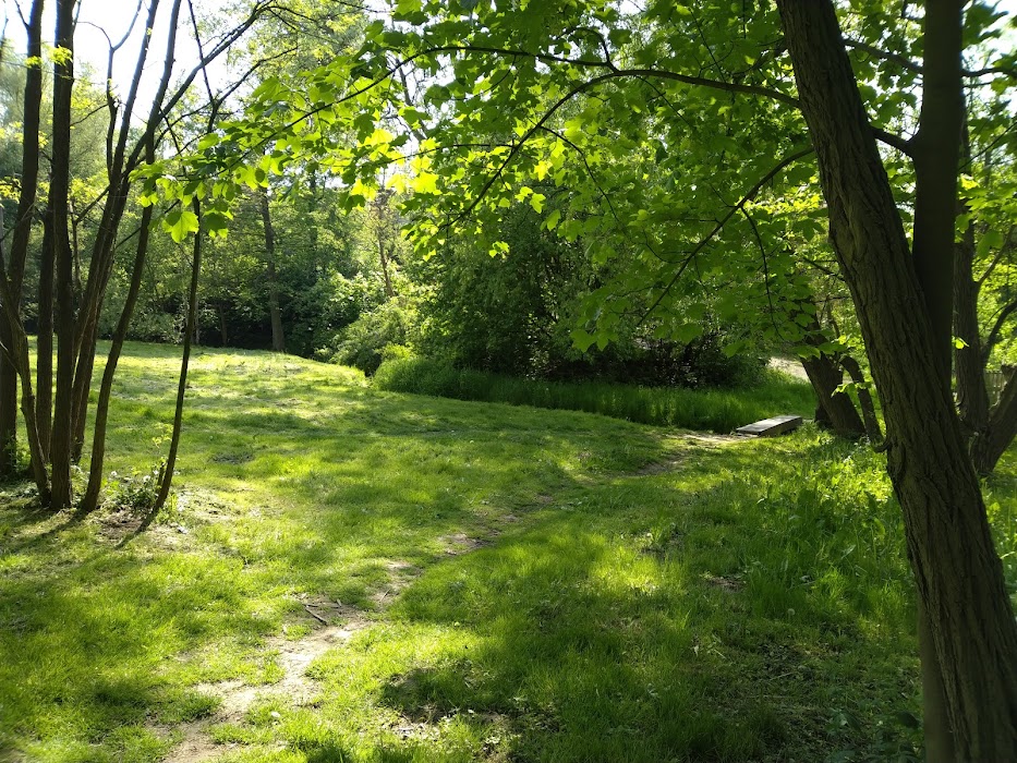Witkowice Park küçük fotoğraf 3