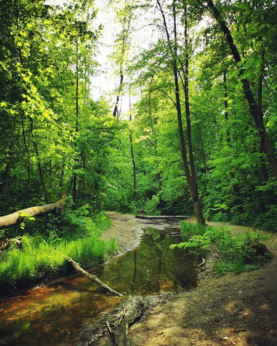 Witkowice Park küçük fotoğraf 4