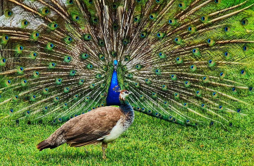 Wildpark Poing küçük fotoğraf 3