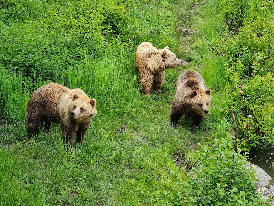 Wildpark Poing küçük fotoğraf 4