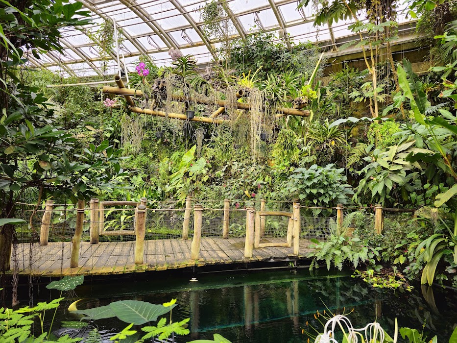 Botanical Garden of the City Prague küçük fotoğraf 3