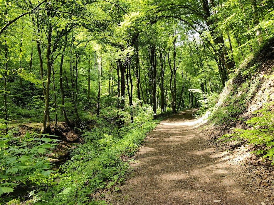 Danube-Ipoly National Park küçük fotoğraf 4