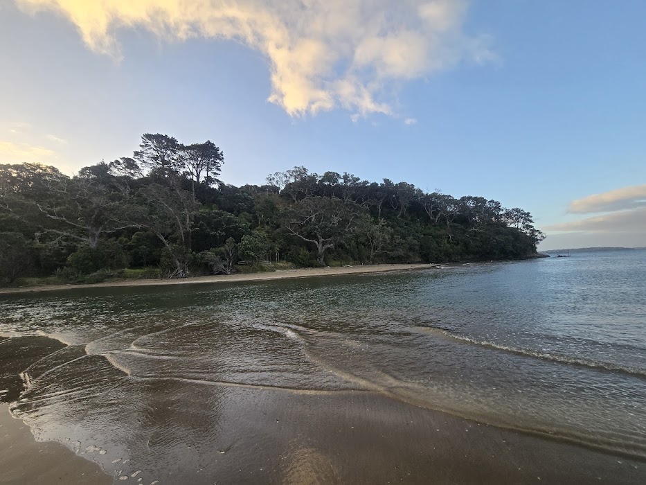 Long Bay Regional Park küçük fotoğraf 4