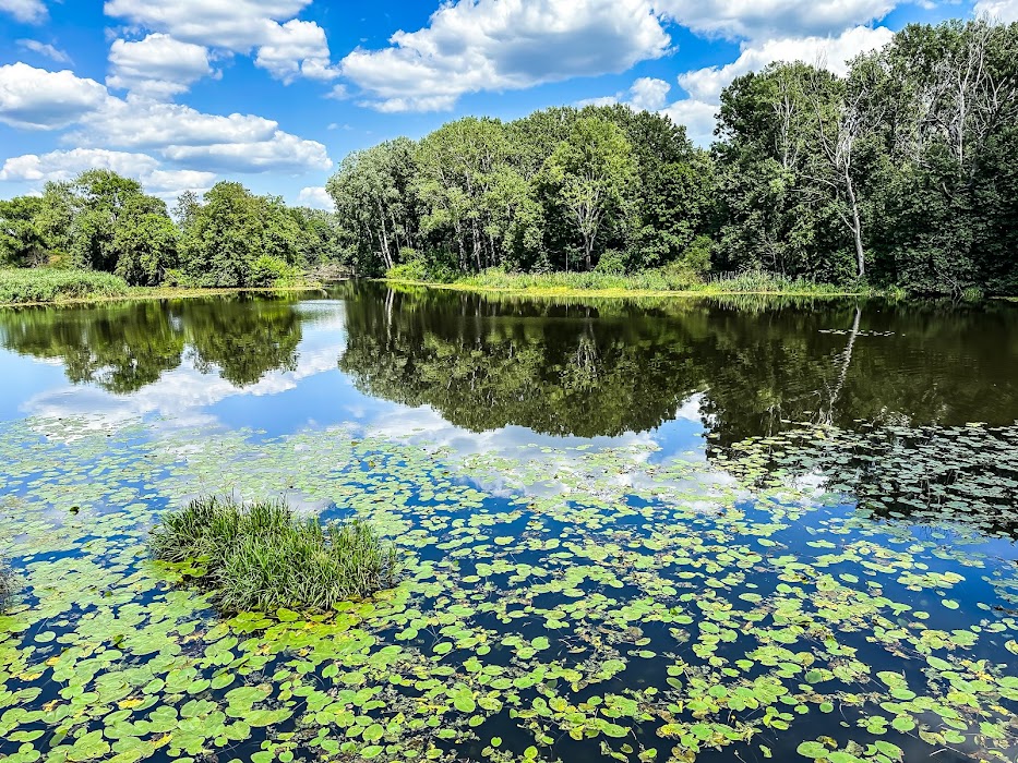 Wilanów Park küçük fotoğraf 2