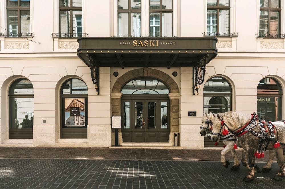 Hotel Saski Krakow, Curio Collection by Hilton küçük fotoğraf 2