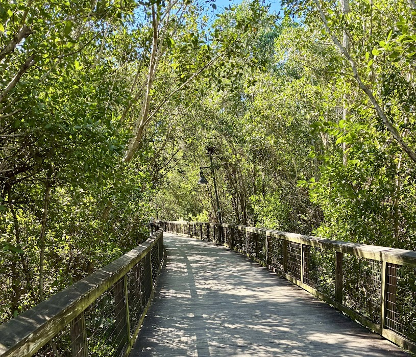 Gordon River Greenway Preserve küçük fotoğraf 4