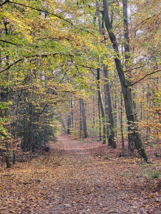 Grunewald küçük fotoğraf 2
