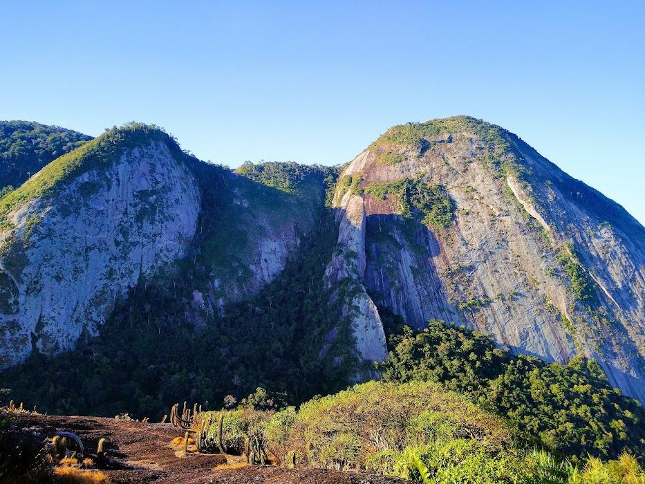 Parque Estadual da Serra da Tiririca (PESET) küçük fotoğraf 3