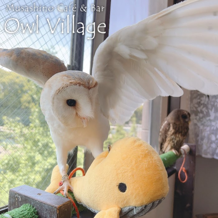 ふくろうの里 原宿店 Owlvillage Harajuku küçük fotoğraf 4