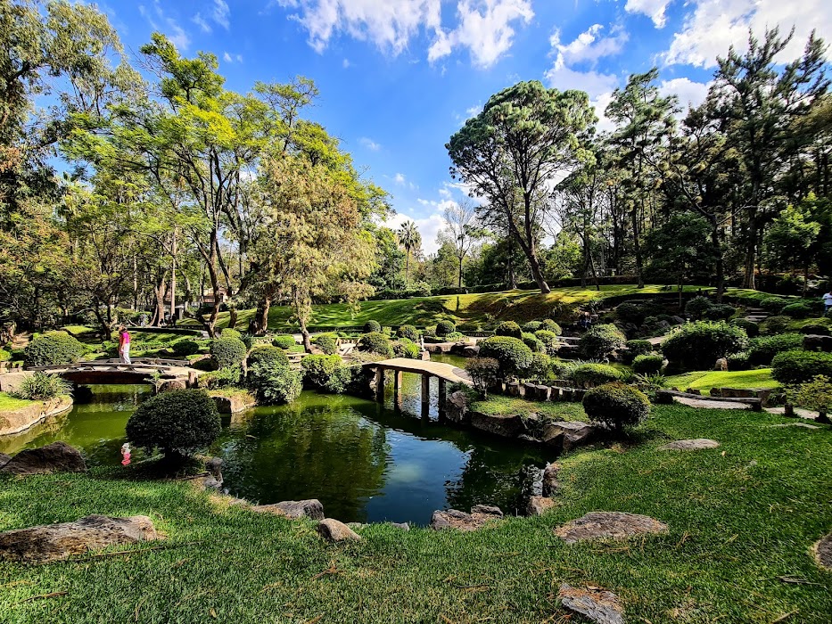 Bosque Los Colomos küçük fotoğraf 3