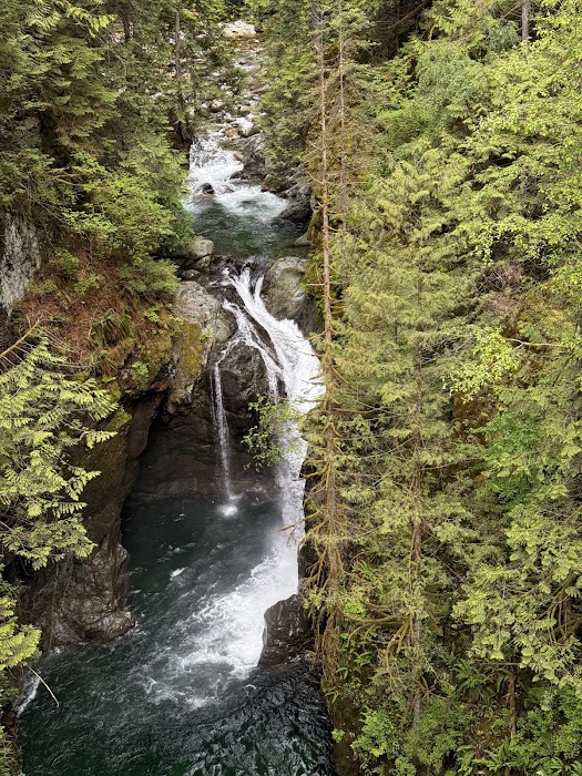Lynn Canyon Suspension Bridge küçük fotoğraf 3