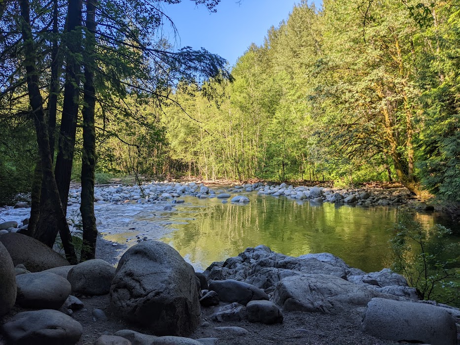 Lynn Canyon Suspension Bridge küçük fotoğraf 4