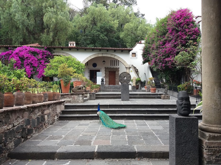 Museo Dolores Olmedo küçük fotoğraf 3
