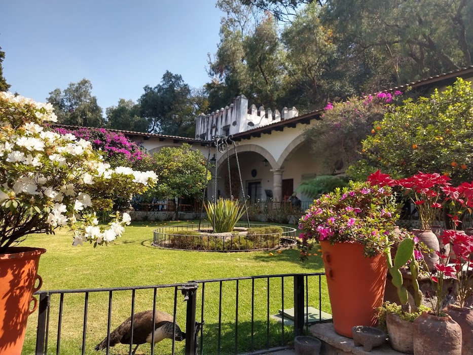 Museo Dolores Olmedo küçük fotoğraf 4