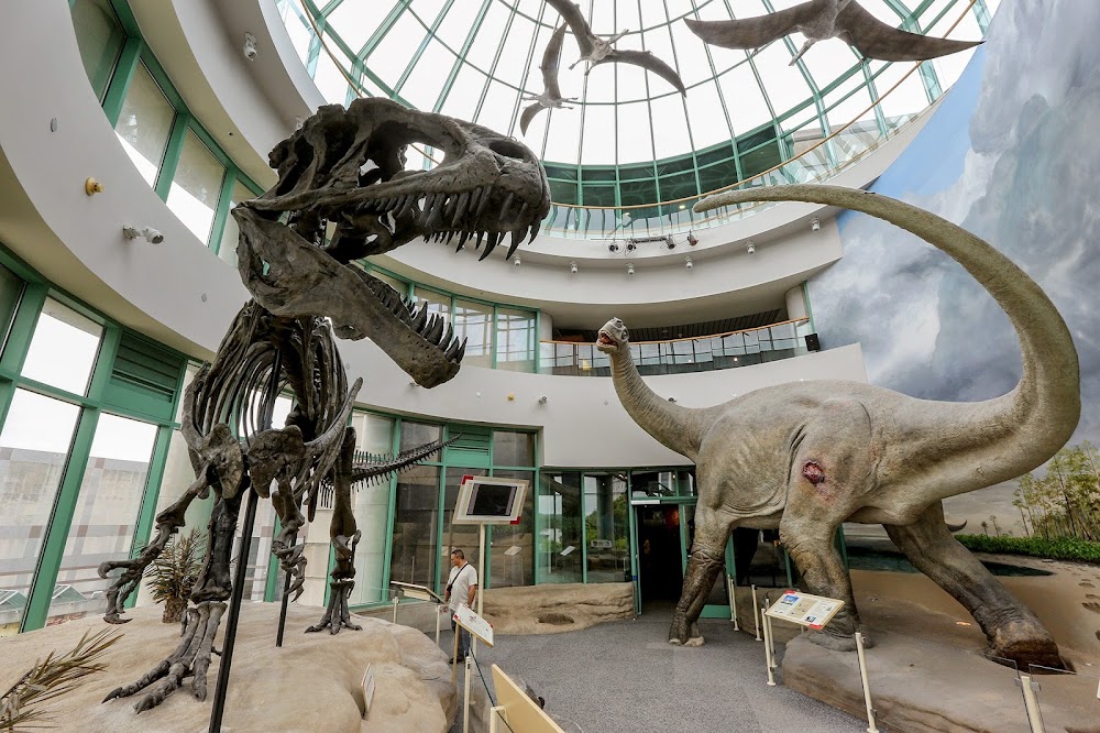 North Carolina Museum of Natural Sciences küçük fotoğraf 2