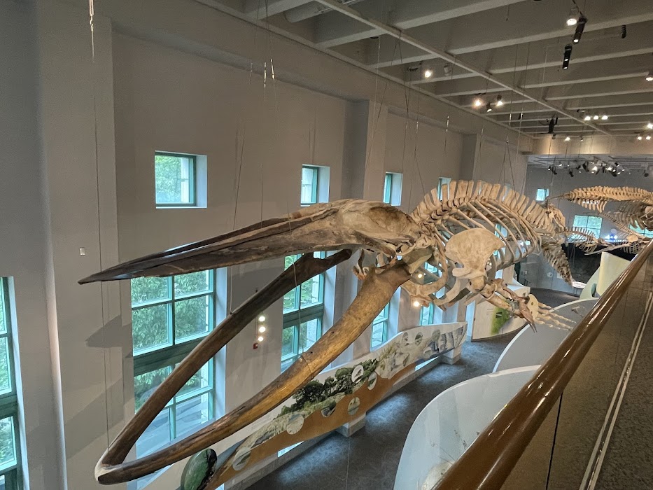 North Carolina Museum of Natural Sciences küçük fotoğraf 3