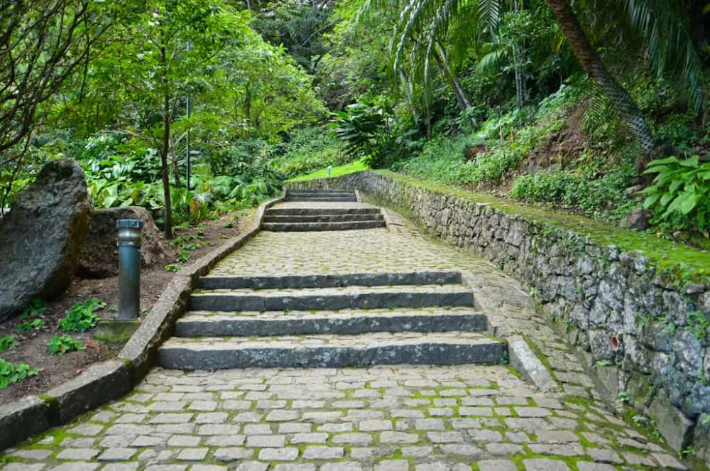 Parque Natural Municipal da Catacumba küçük fotoğraf 4