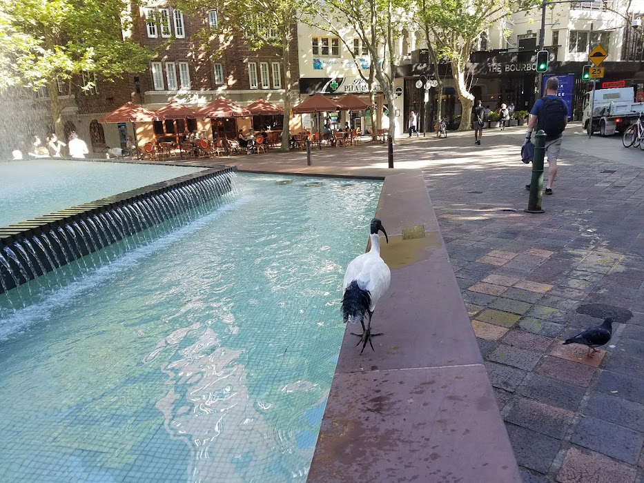 Spicers Potts Point küçük fotoğraf 4