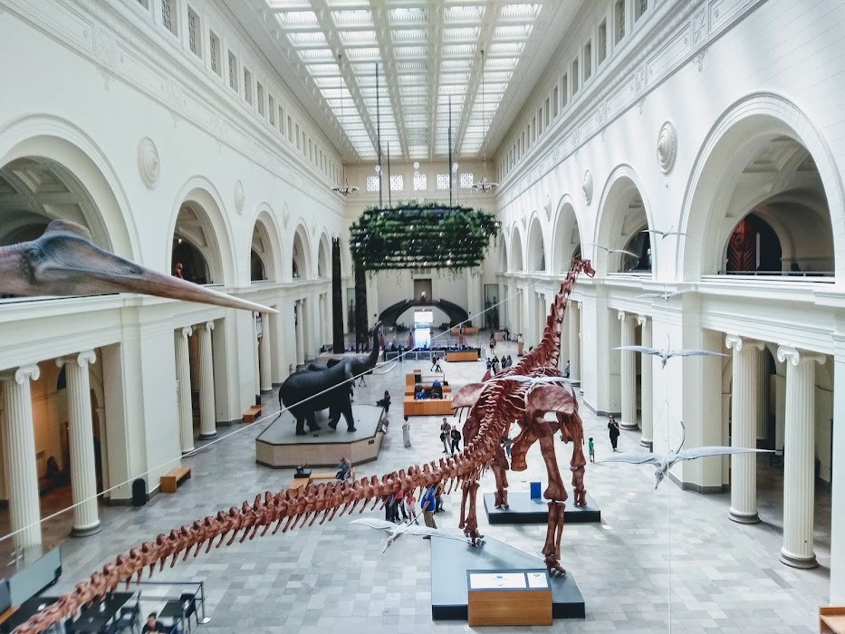 The Museum Campus küçük fotoğraf 2